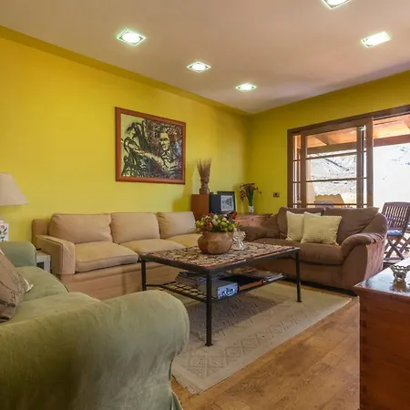 Mimosas Agaete (Gran Canaria)